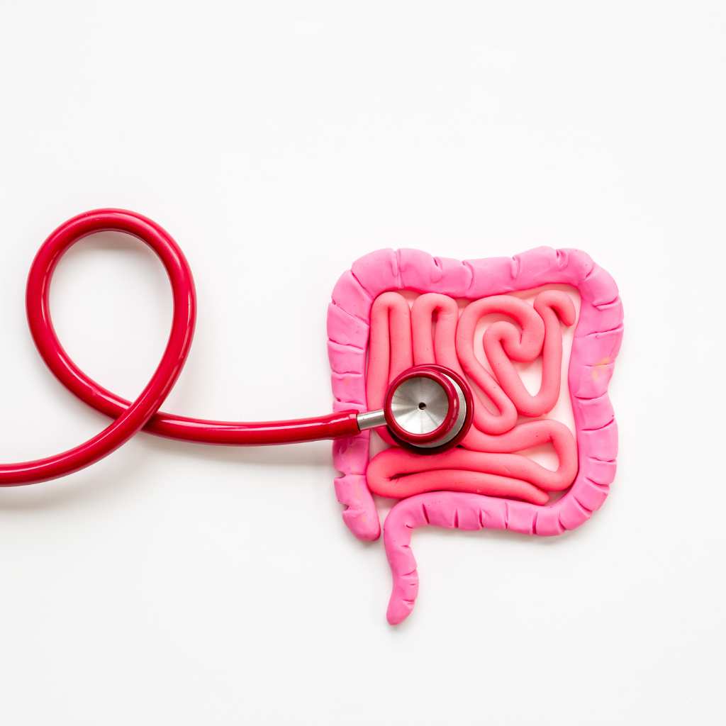 Stethoscope touching a stylized intestine to show gut–brain connection